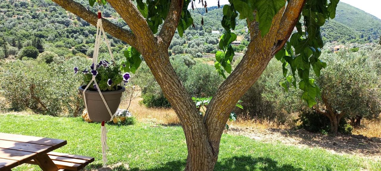 Lily Home_Lefkada ~ Private Country House Kondaraíni Dış mekan fotoğraf
