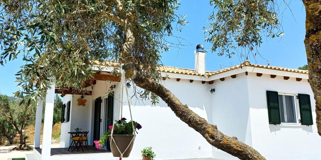 Lily Home_Lefkada ~ Private Country House Kondaraíni Dış mekan fotoğraf
