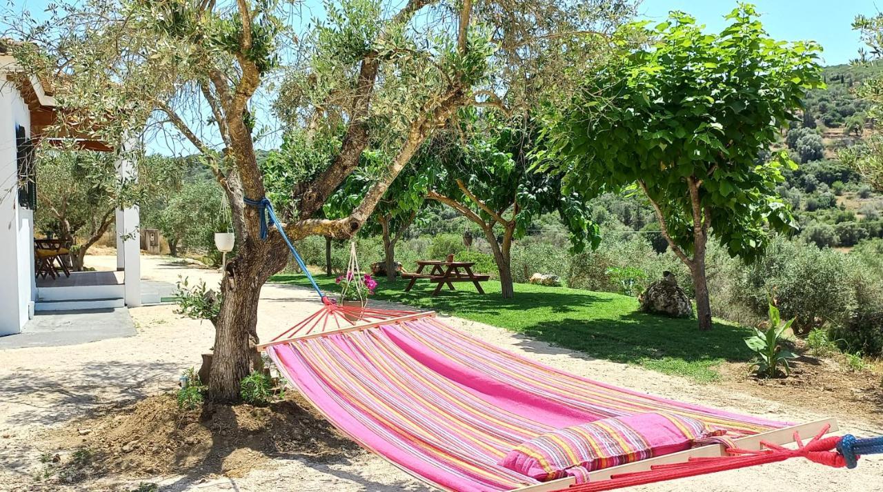 Lily Home_Lefkada ~ Private Country House Kondaraíni Dış mekan fotoğraf