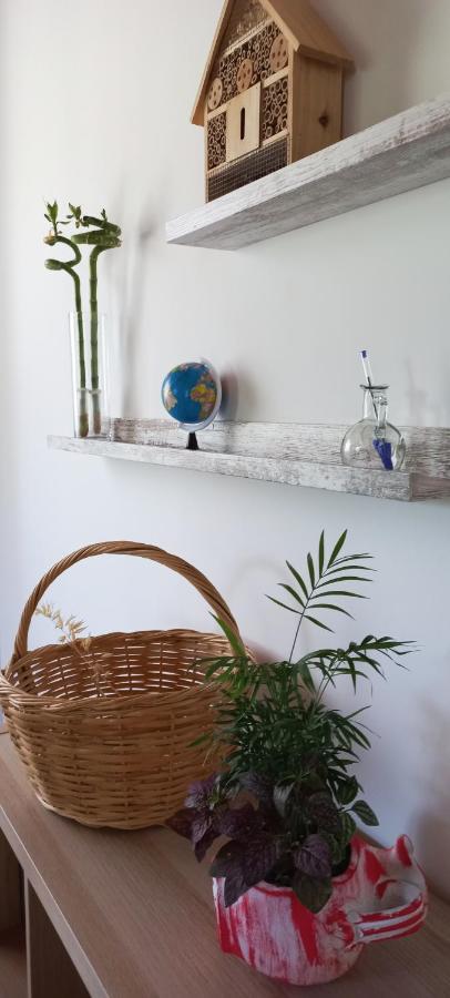 Lily Home_Lefkada ~ Private Country House Kondaraíni Dış mekan fotoğraf