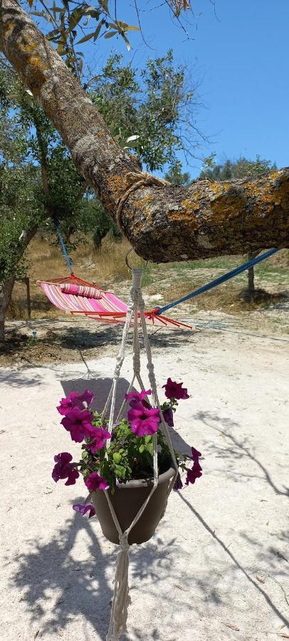 Lily Home_Lefkada ~ Private Country House Kondaraíni Dış mekan fotoğraf