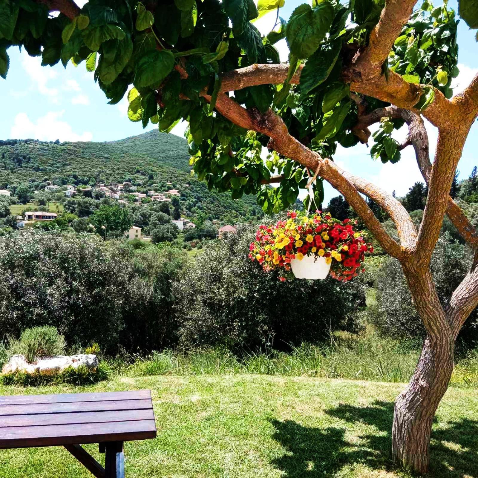 Lily Home_Lefkada ~ Private Country House Kondaraíni Dış mekan fotoğraf
